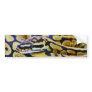Yellow and Black Ball Python Resting Bumper Sticker
