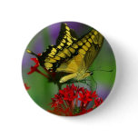 Yellow and Black Butterfly