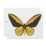 Yellow and Black Butterfly invitations