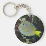 Yellow and blue fish key chains