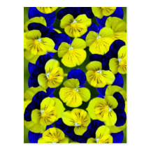 Yellow and blue pansies postcards