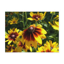 Yellow And Brown Flowers Post Cards