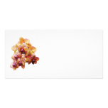Yellow and Magenta Orchids Menu Single photo cards