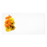Yellow and Orange Daisies Photo Card