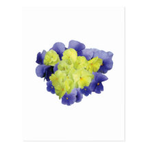 Yellow and Purple Pansy Heart Postcards