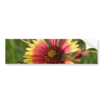 Yellow and Red Gaillardia Flower Bumper Stickers