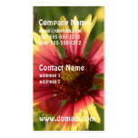 Yellow and Red Gaillardia Flower Business Cards