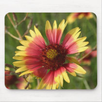 Yellow and Red Gaillardia Flower Mouse Pads