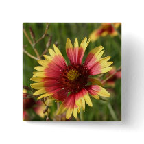 Yellow and Red Gaillardia Flower Pin
