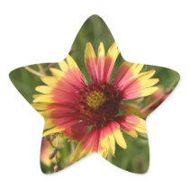 Yellow and Red Gaillardia Flower Stickers