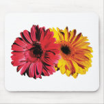 Yellow And Red Gerbera Daisies mousepads