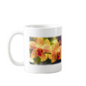 Yellow and Red Striped Phalaenopsis mugs