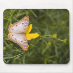 Yellow and White Butterfly mousepads