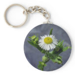 Yellow Annual Fleabane (Erigeron Annuus) flowers keychains