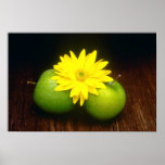 yellow Apples and flower on barnboard flowers Print