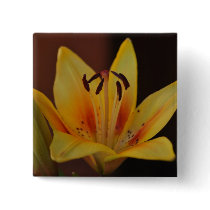 Yellow Asiatic Lily Button