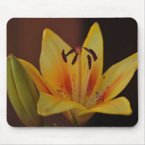 Yellow Asiatic Lily Mousepad