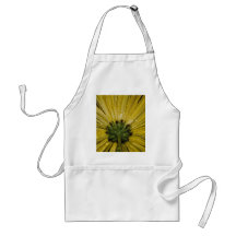 Yellow Aster Flower, Bottom View Aprons