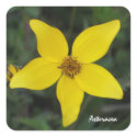 Yellow Aster Sticker
