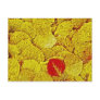 Yellow Autumn - Painting Art postcards