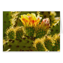 Yellow Beauty Card