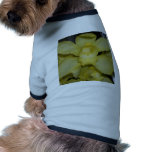 Yellow Beauty Pet Clothing