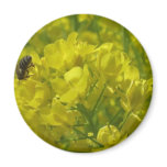 yellow bee 2