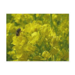 yellow bee 2