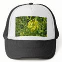 yellow bee hats
