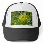 yellow bee hats