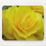 Yellow Begonia mousepads