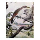 Yellow-billed Cuckoo and Tent Caterpillars Post Cards