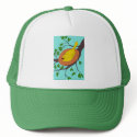 Yellow Bird's Nest hats