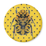 Yellow & Black Beetle on Yellow and Black Dot Magnet