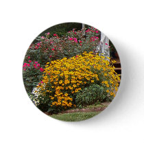 Yellow Black Eyed Susans