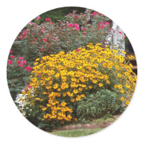 Yellow Black Eyed Susans