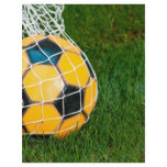 Yellow & Black Soccer Ball in Net flyers