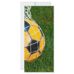 Yellow & Black Soccer Ball in Net rack cards