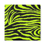 Yellow & Black Zebra magnets