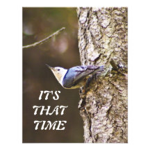 Yellow & Blue Bird Watching Party Invitation