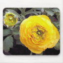 Yellow Bomber mousepads
