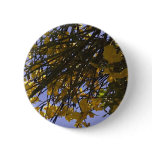Yellow Broom Button