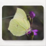 yellow butterfly mouse mats