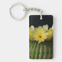Yellow Cactus Flower