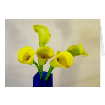 Yellow Calla Lillies Cards by deegolden