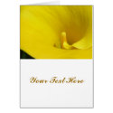 Yellow Calla Lily Flower cards