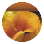 Yellow calla lily stickers