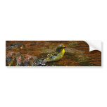 Yellow Canary bird bathing bumper stickers