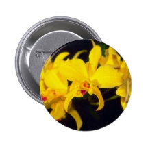 yellow Cattleya flowers Buttons