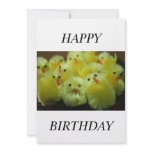 Yellow Chicks  HAPPY BIRTHDAY Card invitations